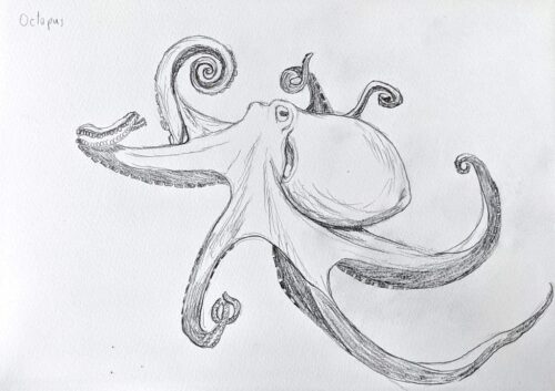 Octopus Pencil