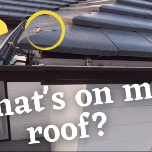 Mystery Roof