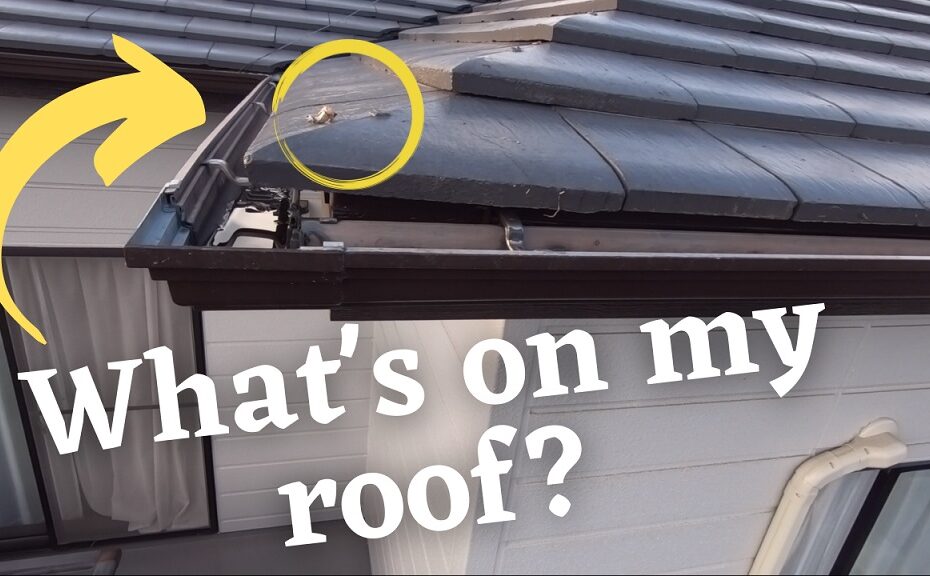Mystery Roof