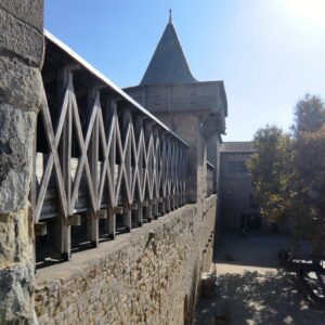 Carcassonne Castle 10